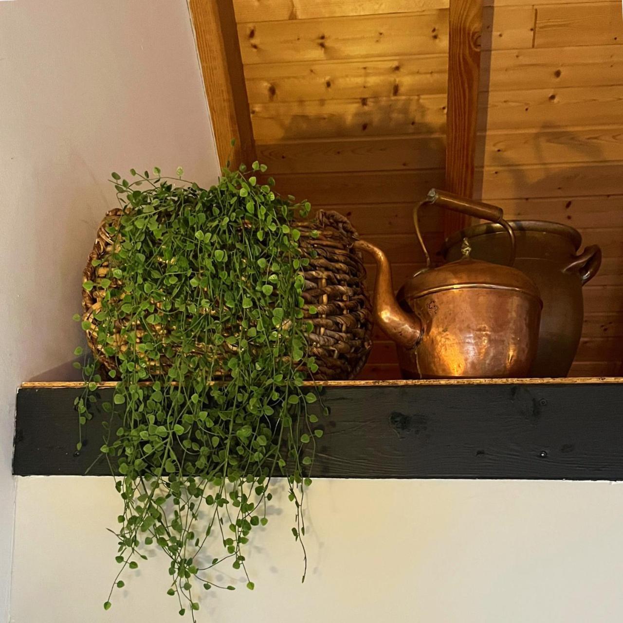 Bed and Breakfast Aan De Hoge Weg Kamperveen Экстерьер фото